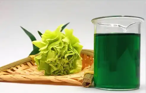 Green Form: Powder Copper Chlorophyll Natural Food Colour at best price in Nagpur Green Form: Powder Copper Chlorophyll Natural Food Colour at best price in Nagpur