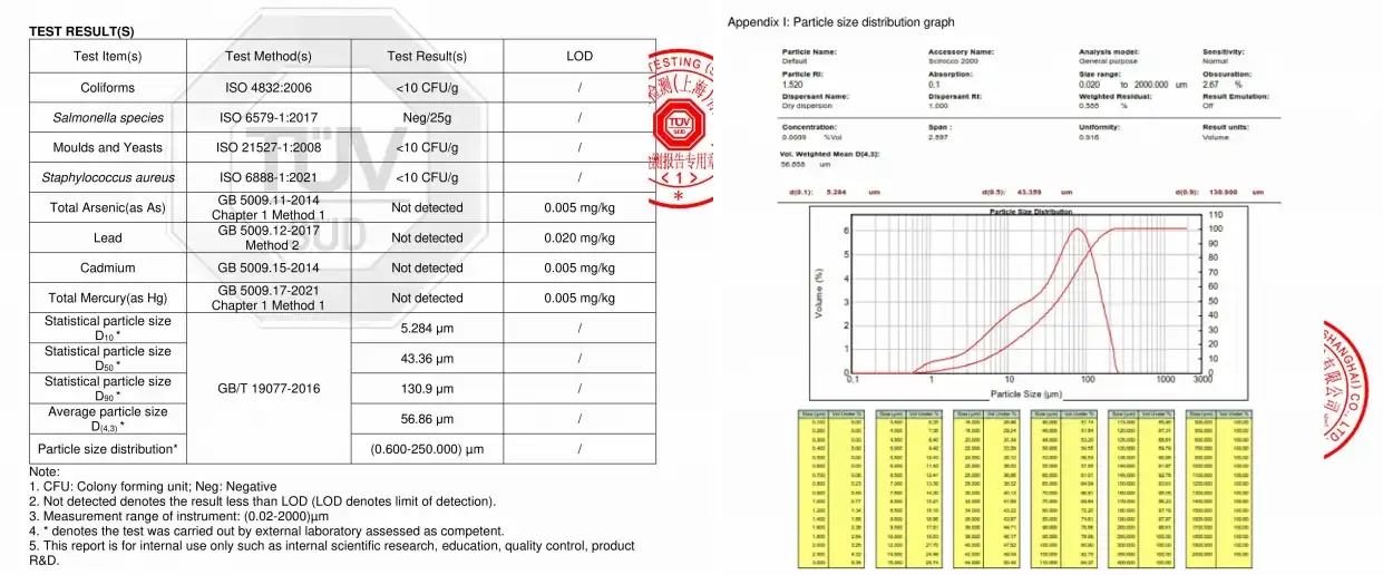 creatine-monohydrate-powder-supplier.webp