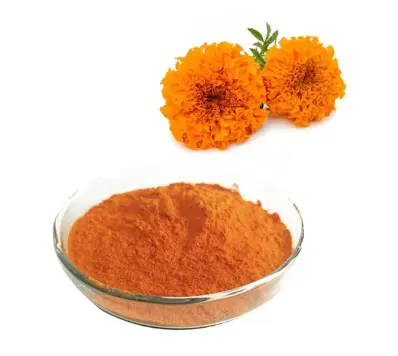 Food Coloring Marigold Extract Lutein Marigold Powder 5% 10% 20% 50% 80% Zeaxanthin and Lutein - China Lutein Ester, Marigold | Made-in-China.com Food Coloring Marigold Extract Lutein Marigold Powder 5% 10% 20% 50% 80% Zeaxanthin and Lutein - China Lutein Ester, Marigold | Made-in-China.com