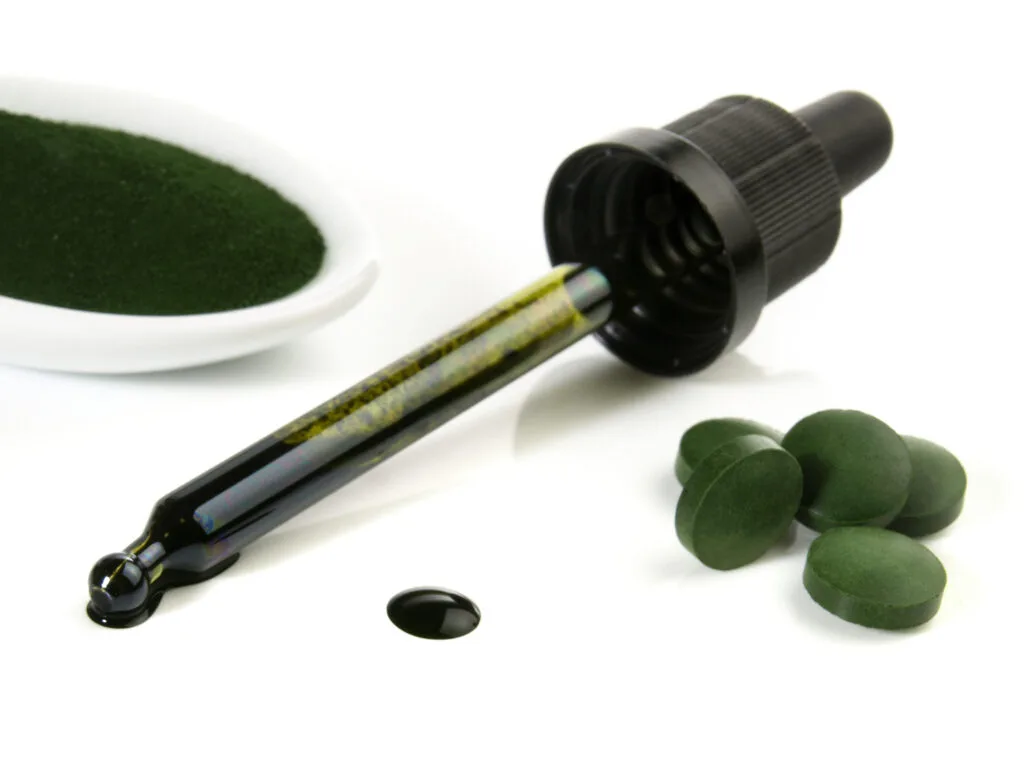 Chlorophyll-1024x768.jpeg Chlorophyll-1024x768.jpeg
