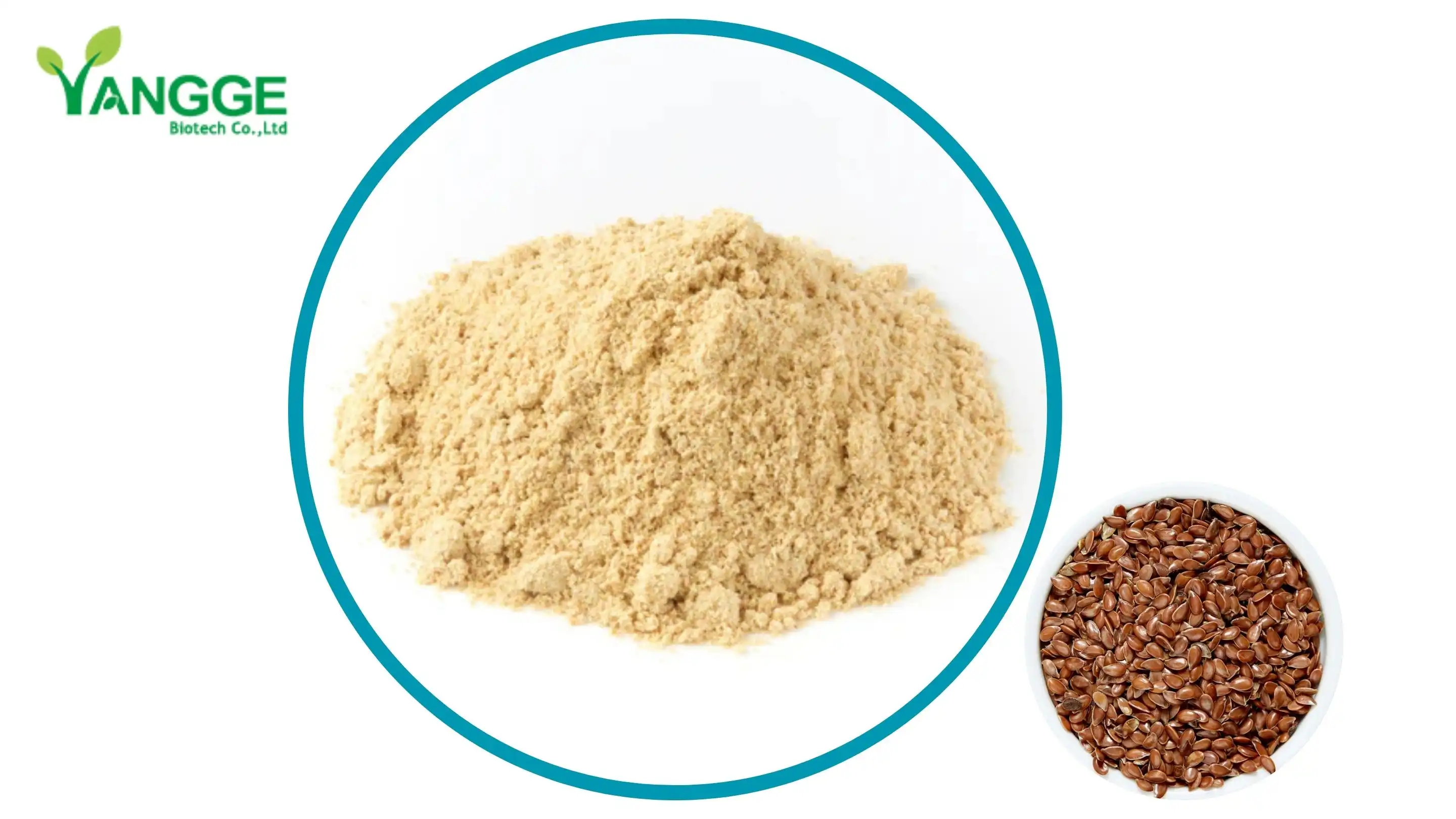 Flax seed protein powder 50% 60% supplier