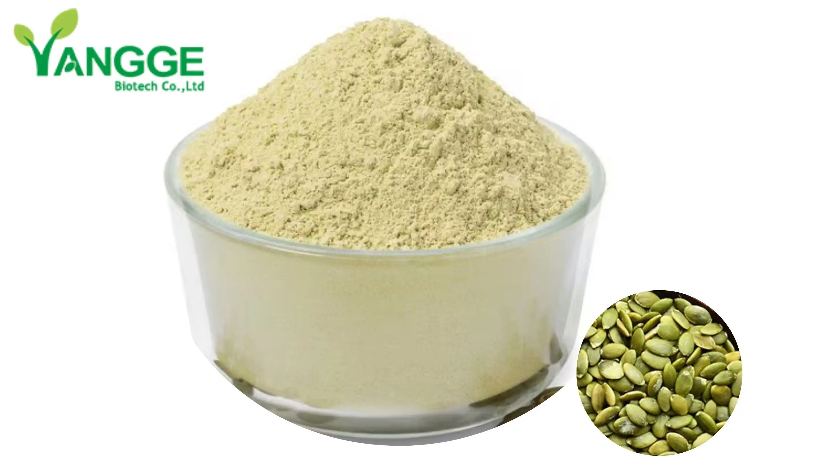 Pumpkin seed protein 60%