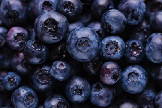 Blueberry Extract Anthocyanins supplier yangge biotech Blueberry Extract Anthocyanins supplier yangge biotech