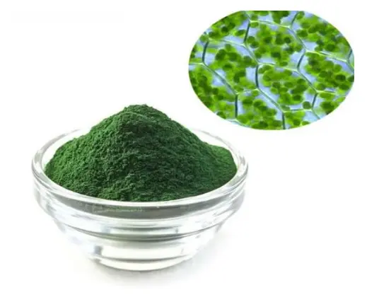 What is chlorophyll - Blog - Undersun Biomedtech Corp What is chlorophyll - Blog - Undersun Biomedtech Corp