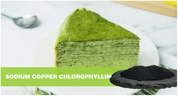 Sodium Copper Chlorophyllin: A green elf from nature to life - FocusHerb Sodium Copper Chlorophyllin: A green elf from nature to life - FocusHerb