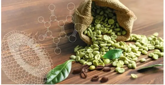 Agwa kọfị Green Green: nkwalite okike maka ahụike na ịdị mma - YanggeBiotech Agwa kọfị Green Green: nkwalite okike maka ahụike na ịdị mma - YanggeBiotech