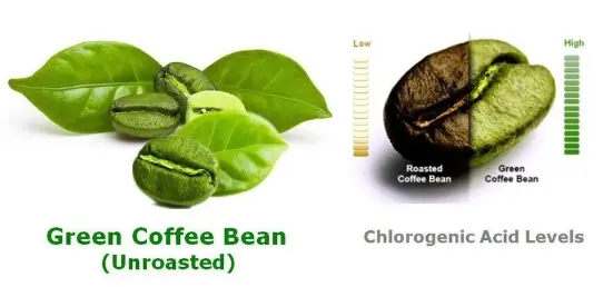 NutriLeon Green Coffee Bean extract 800 mg 60 capsules (Pack of 3) Price in India - Buy NutriLeon Green Coffee Bean extract 800 mg 60 capsules (Pack of 3) online at Flipkart.com NutriLeon Green Coffee Bean extract 800 mg 60 capsules (Pack of 3) Price in India - Buy NutriLeon Green Coffee Bean extract 800 mg 60 capsules (Pack of 3) online at Flipkart.com