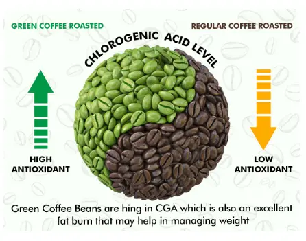 Herbal max Green Coffee Beans Extract Capsules With Green Tea, Ginger And Piperine Extract Pure and Natural Goodness Of Antioxidants Helps Improve Metabolism - 60 capsules : Amazon.in: Health & Personal Care Herbal max Green Coffee Beans Extract Capsules With Green Tea, Ginger And Piperine Extract Pure and Natural Goodness Of Antioxidants Helps Improve Metabolism - 60 capsules : Amazon.in: Health & Personal Care
