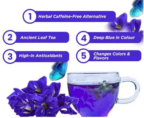 10 Extraordinary Health Benefits of Blue Tea — Dr Trust 10 Extraordinary Health Benefits of Blue Tea — Dr Trust