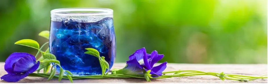 Ingredient: Butterfly Pea Flower Ingredient: Butterfly Pea Flower