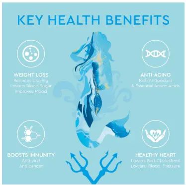 Benefits – Mermaid&Machine Benefits – Mermaid&Machine