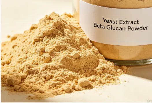 Ano ang mga benepisyo sa kalusugan ng Yeast Beta Glucan Powder? Ano ang mga benepisyo sa kalusugan ng Yeast Beta Glucan Powder?