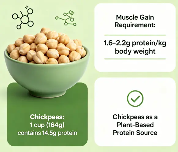 Do Chickpeas Have Protein For Muscle Gain? -ETprotein Do Chickpeas Have Protein For Muscle Gain? -ETprotein