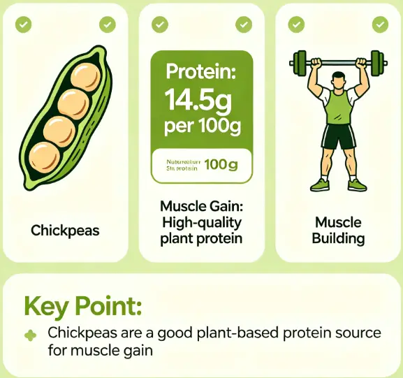 Do Chickpeas Have Protein For Muscle Gain? Do Chickpeas Have Protein For Muscle Gain?