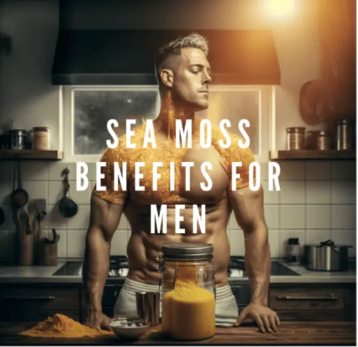 Sea Moss Benefits for Men: Unlocking the Power of Nature's Superfood – Millie's Moss Sea Moss Benefits for Men: Unlocking the Power of Nature's Superfood – Millie's Moss