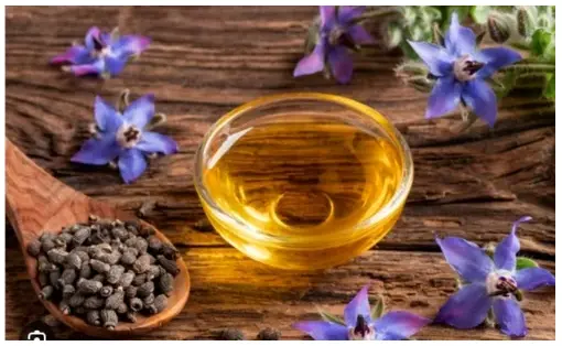 Pure Borage Oil at best price in New Delhi by Kaveri Bio Technology | ID: 2852956775388 Pure Borage Oil at best price in New Delhi by Kaveri Bio Technology | ID: 2852956775388