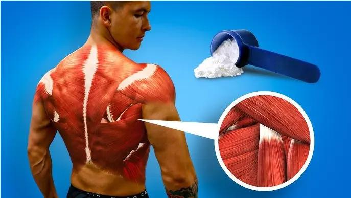 The BEST Way To Use Creatine For Muscle Growth (4 STEPS) - YouTube The BEST Way To Use Creatine For Muscle Growth (4 STEPS) - YouTube