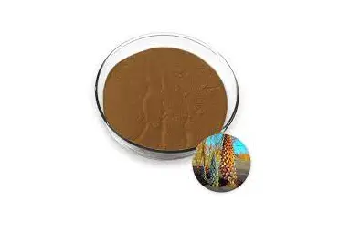 100% Pure Cistanche Tubulosa Extract Cistanche| Alibaba.com 100% Pure Cistanche Tubulosa Extract Cistanche| Alibaba.com