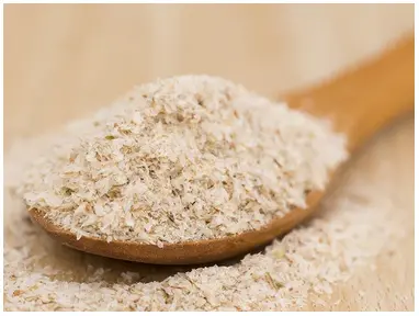 What is Psyllium Husk? | Lo-Dough Ingredients Explained What is Psyllium Husk? | Lo-Dough Ingredients Explained