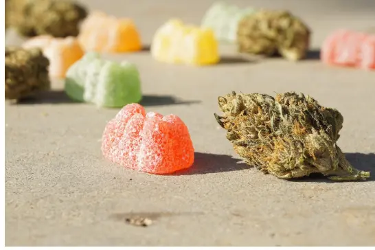 Eight surprising benefits of sea moss gummies - Talented Ladies Club Eight surprising benefits of sea moss gummies - Talented Ladies Club