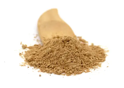 Organic Lions Mane Mushroom Powder 100g (Sussex Wholefoods) | Healthy Supplies Organic Lions Mane Mushroom Powder 100g (Sussex Wholefoods) | Healthy Supplies