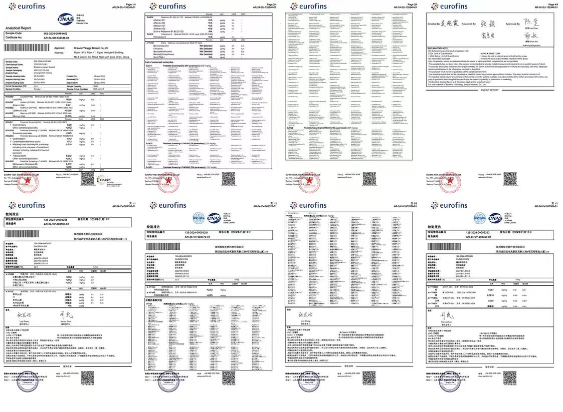 Blueberry Extract Anthocyanins supplier yangge biotech Blueberry Extract Anthocyanins supplier yangge biotech