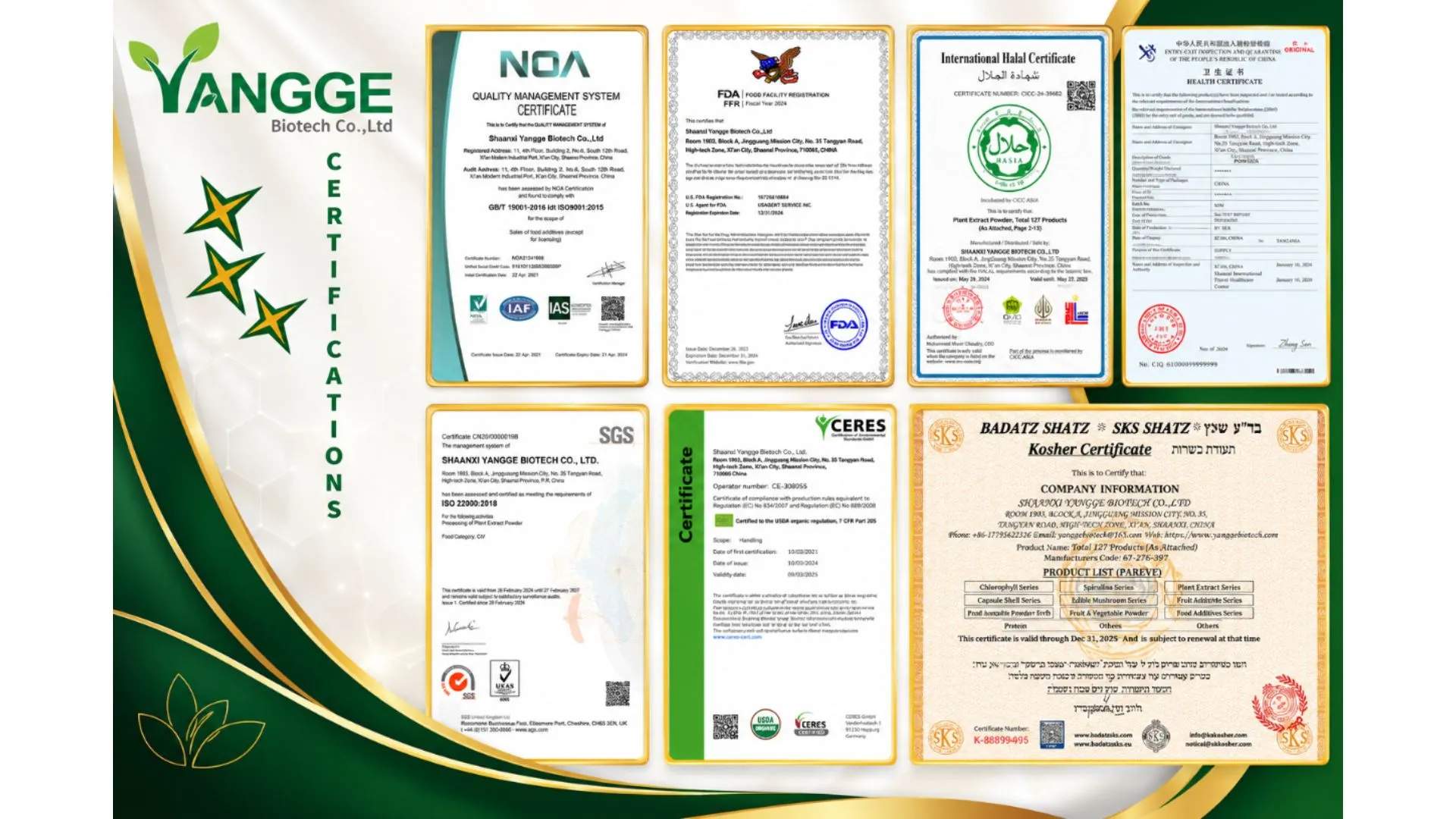 Yangge Biotech Certificates Yangge Biotech Certificates