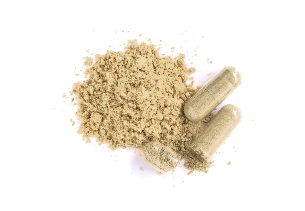 Yangge biotech Sea Moss Powder supplier Yangge biotech Sea Moss Powder supplier