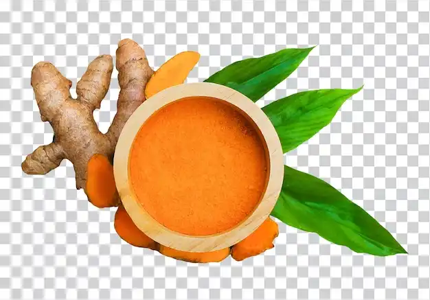 Curcumin Turmeric Color  Powder Curcumin Turmeric Color  Powder