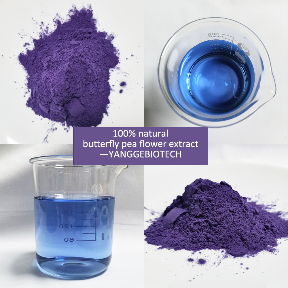 Butterfly pea flower powder Butterfly pea flower powder