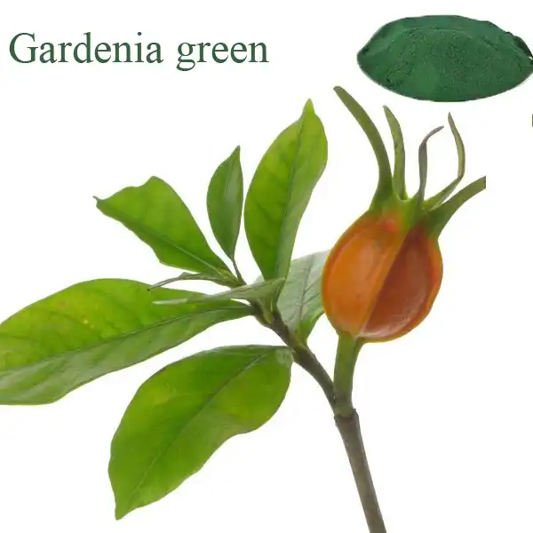 Gardenia Green Powder Gardenia Green Powder