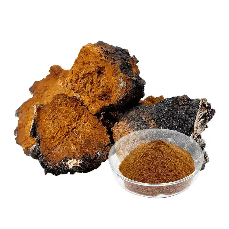 Chaga mushroom powder Chaga mushroom powder