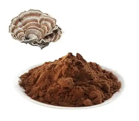 Versicolor mycelium extract Versicolor mycelium extract