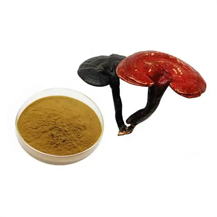 Ganoderma Lucidum Extract Ganoderma Lucidum Extract