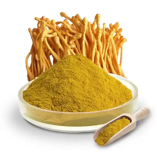Cordyceps militaris extract Cordyceps militaris extract