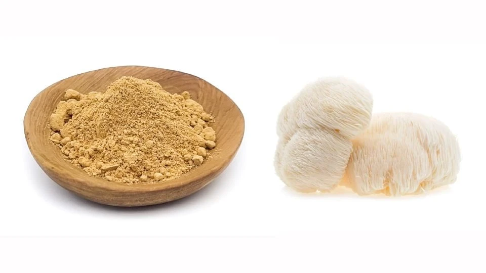 Lion's Mane Mushroom Powder